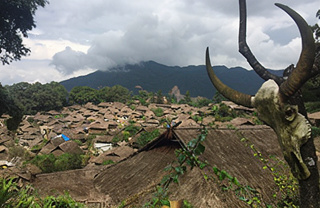 Фото Пуэр из региона Худун (Мэнку)