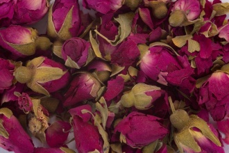 Бутоны красной розы (хун мэйгуй)|Цветки растений