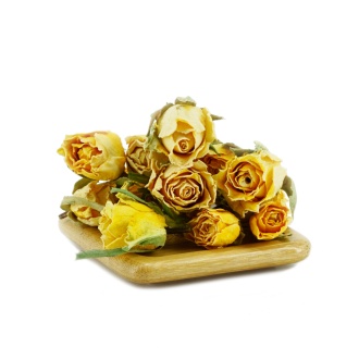 Бутоны желтой иранской розы|Цветки растений