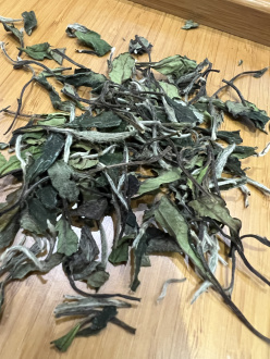 Белый чай Бай мудань из Хулиня (Белый пион) | 白茶