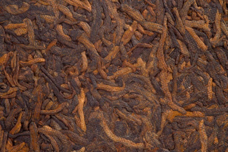 Pressed Rip Pu-erh Tea - Shu pu-erh 2012 "Vekha" brand "Bajiaoting" factory "Liming" cake 357 g, 
